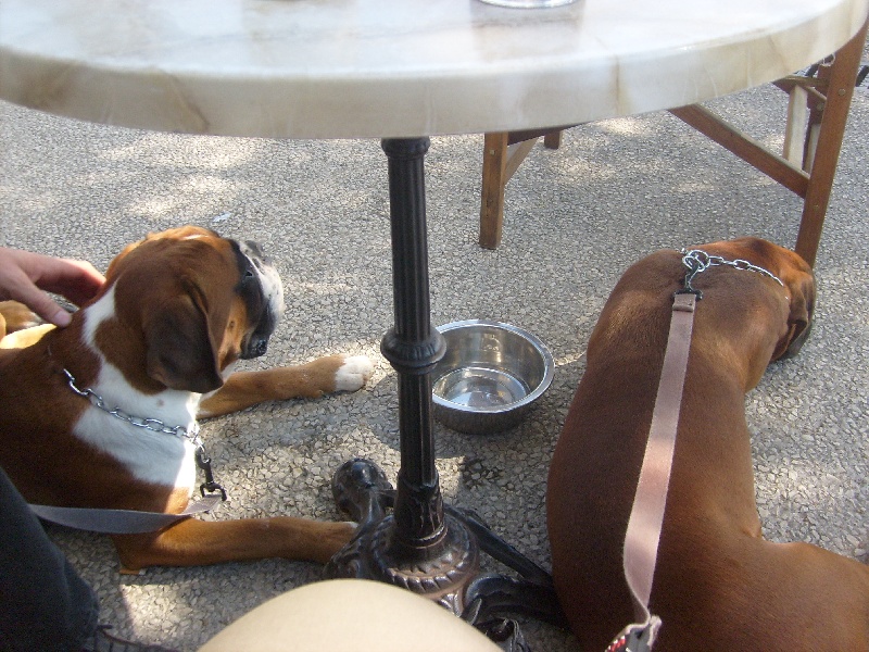 Echarpe et Enjy à la Rochelle
