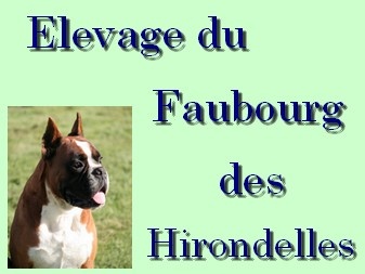 du faubourg des hirondelles